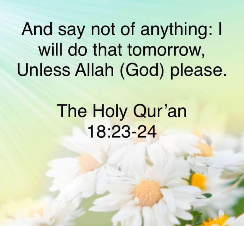 NadineMuhammad tweet picture