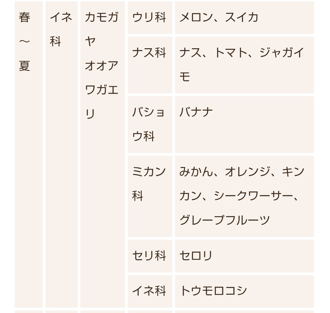 micotter's tweet photo. メロン、じゃがいも、とうもろこし…
北海道産の美味しいものを送ってくださる義母…
私イネ科のアレルギーが強いのです😢
たくさんもらっても困るんです🥲
可愛げない嫁だと思われても断りますごめんなさい。 https://t.co/FSz1OALP72