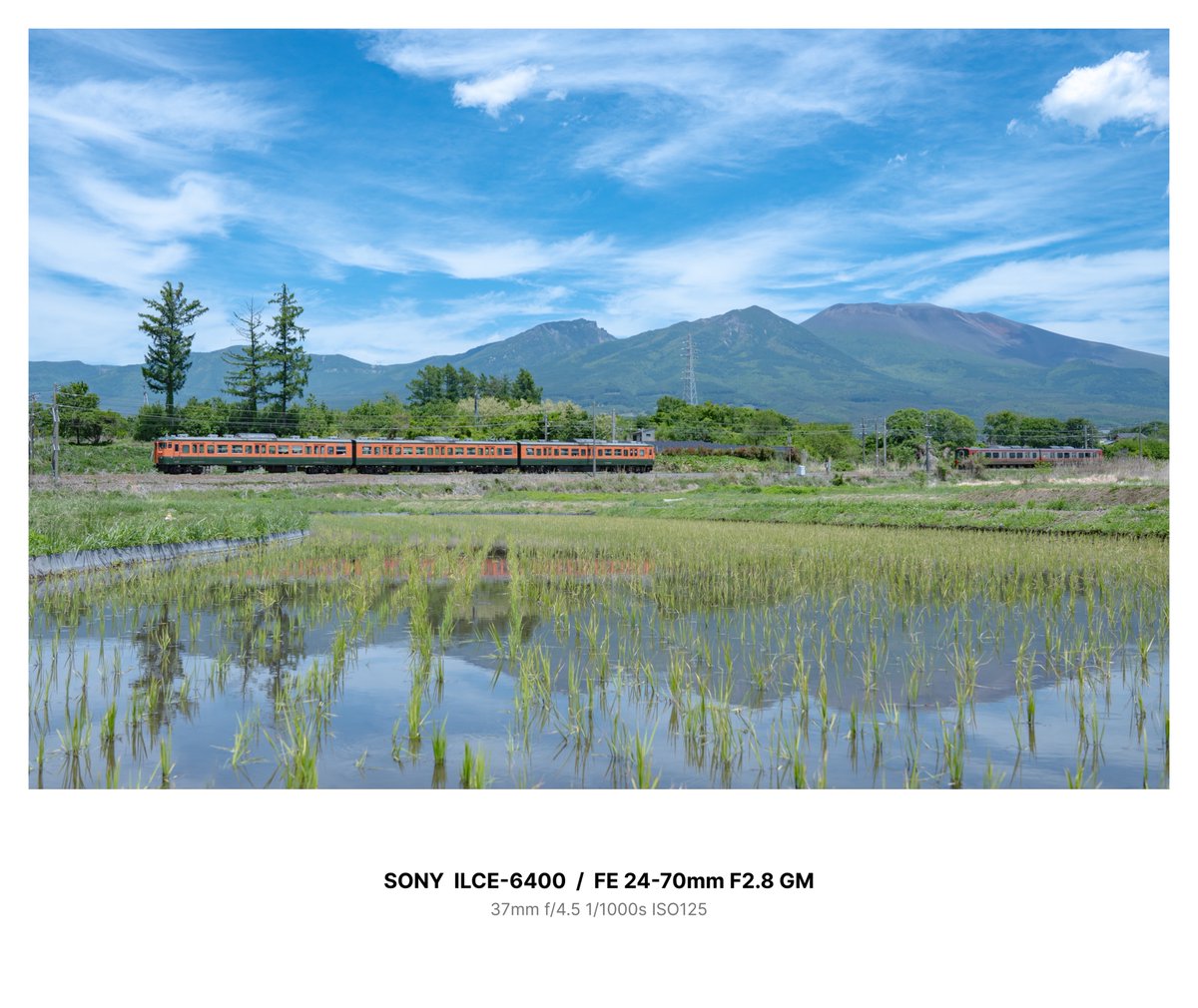 Nanose211's tweet photo. 湘南電車と水田と浅間と https://t.co/mGu5UZGkmE