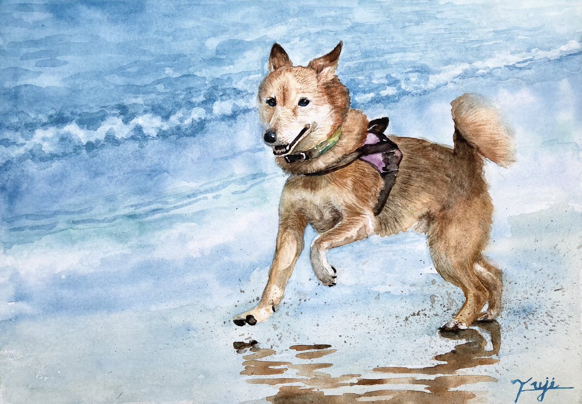 画家志望の青年が描いた　犬の水彩画 魅力ある青を見せてください見た人全員強制 #水彩画 #犬の絵