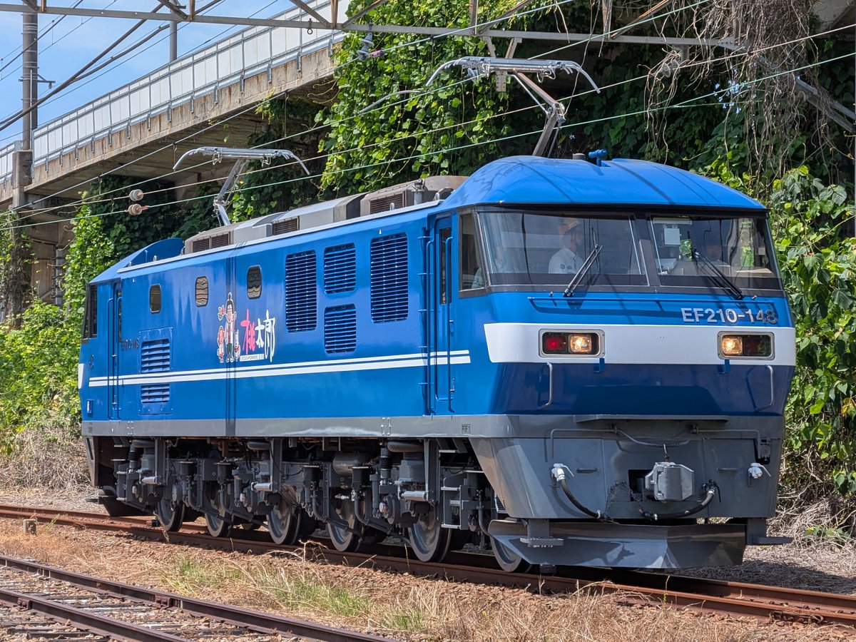 honobono0727's tweet photo. 2026.6.1
EF210-148 構内試運転
試運転線の木が生い茂っているので乗務員扉に葉っぱが挟まってました。 https://t.co/Vs8STQVCgE