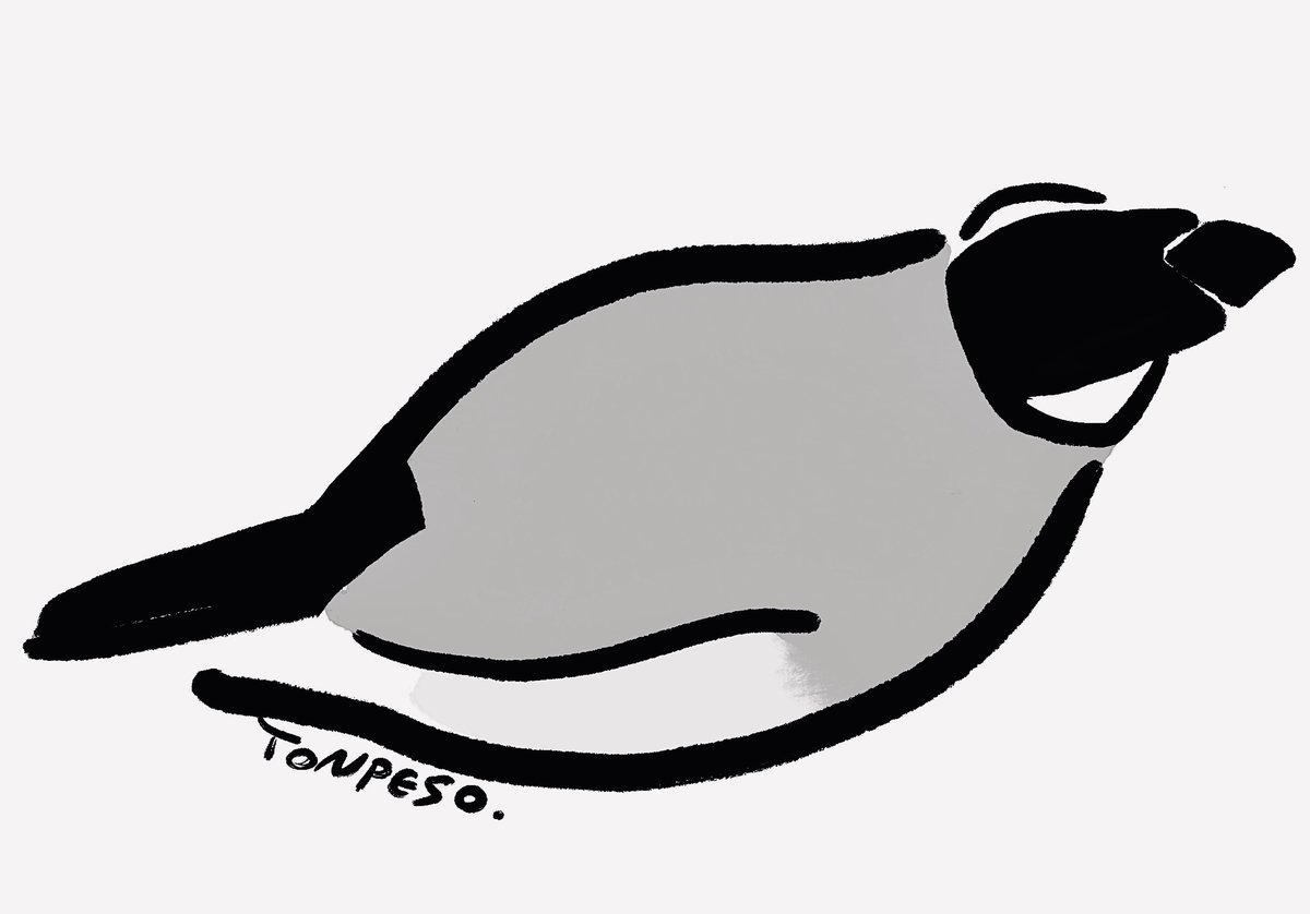TONPESO's tweet photo. 流線文鳥 https://t.co/mD56ss15EP
