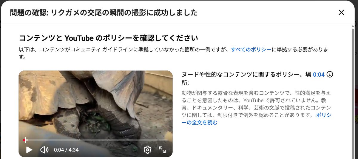 wanivspbao's tweet photo. リクガメの交尾の動画が「性的満足を与えることを意図したもの」と判断されて消されたの納得いかない
再審査も却下されたし
どう考えても教育、ドキュメンタリー、科学、芸術の文脈で投稿されたコンテンツでしょう https://t.co/AdQmW5Jadp