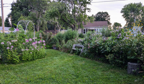 andrewwimer's tweet photo. This is crazy! A village in Illinois is ordering a botanist to tear up the garden she has been working on for years, saying it's "high grass or weeds." Laura Schaefer has 7 days to do it or the village will send people onto her property to destroy the garden--then bill her! https://t.co/3ZXWSpoxgY