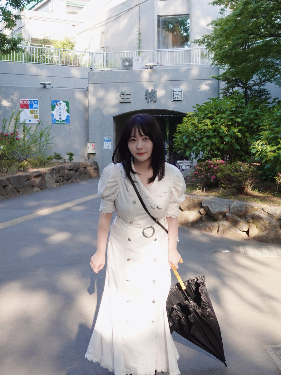 ハクちゃんマン (@893_346) / Posts / X