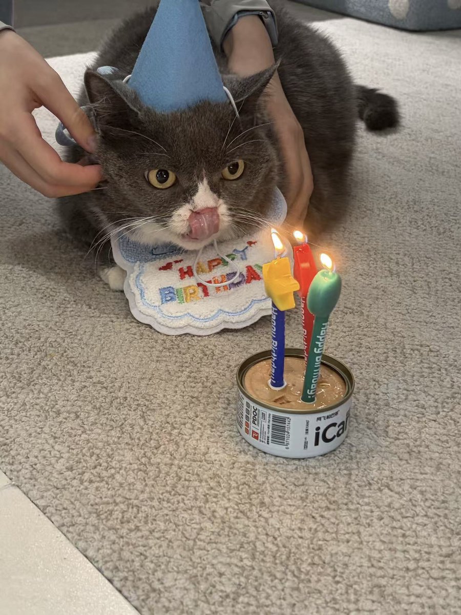 PeroPeroGuys's tweet photo. The birthday of the cat named 61 happens to be on June 1st.🥳We had a birthday party for him in peropero yesterday. https://t.co/5srjDptqTl