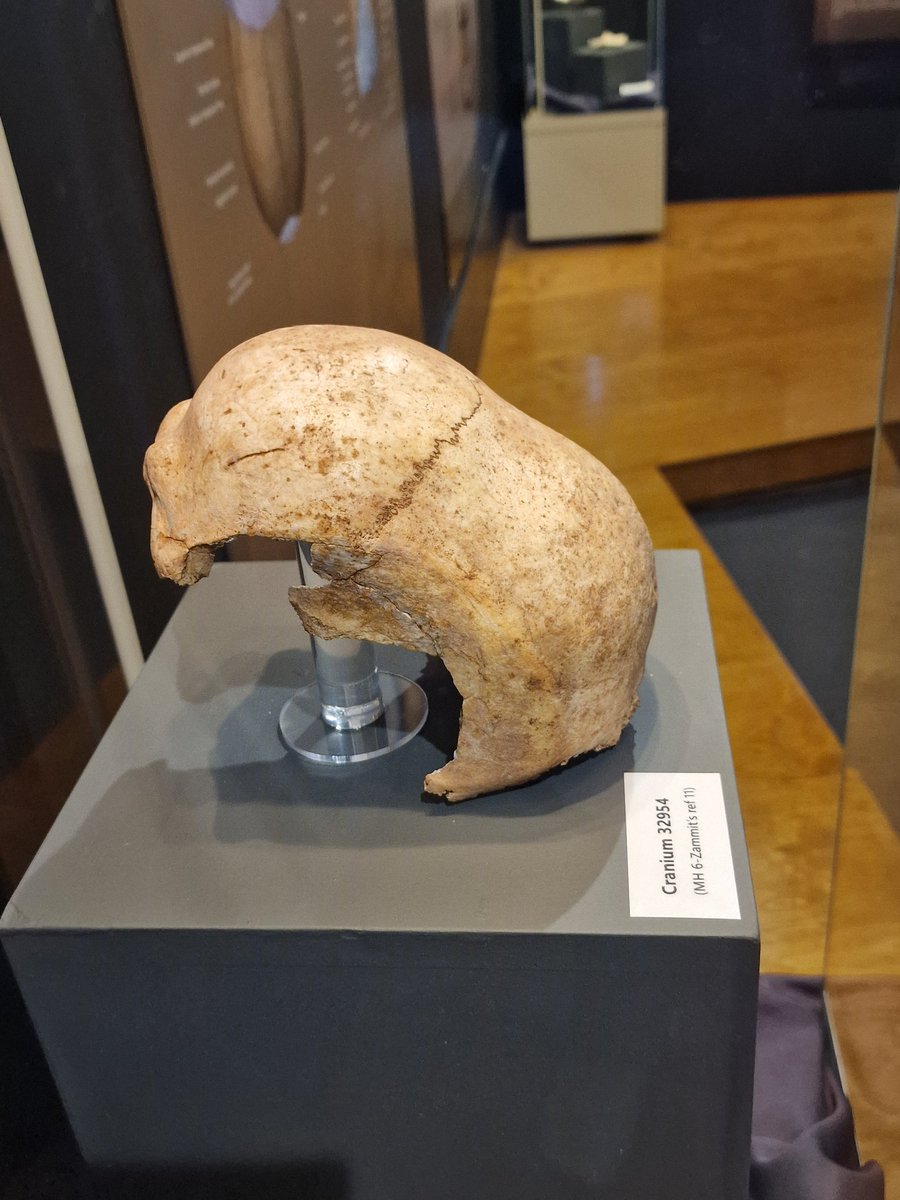 LizMorgan1's tweet photo. @megportal I visited the Hal Saflieni Hypogeum, Malta on 26 May 2026. 
The most incredible subterranean, neolithic burial chamber. Over three levels, the lowest being almost 11 metres below ground. The artefacts shown are at the Archaelogical Museum in Valletta ❤️🇲🇹 https://t.co/qqpj3caNhw