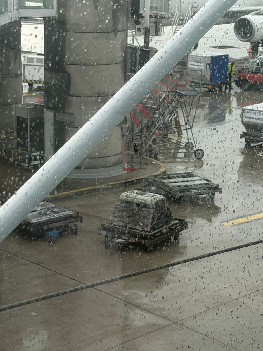 danilocwb's tweet photo. This is how Air France takes care of the animals we send. This is my dog ​​in the rain at Charles de Gaulle airport in Paris.
He stood in the rain for more than 10 minutes without anyone doing anything.
#animalabuse #AnimalWelfare     #AnimalRights #CharlesDeGaulle  #AirFrance https://t.co/EI72RwqXPt
