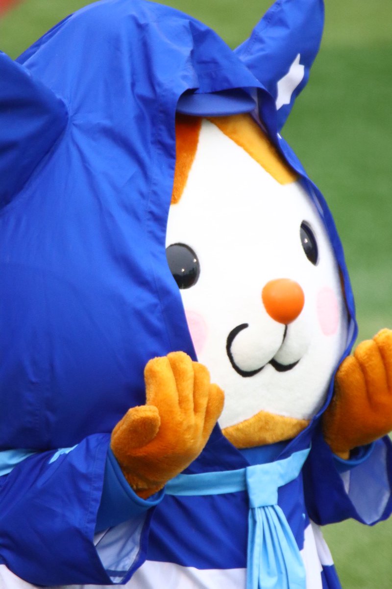 xydb_dena31's tweet photo. 可愛いね🐹

#スターマン
#baystars
2026/6/2 https://t.co/kJpTwcIFSi