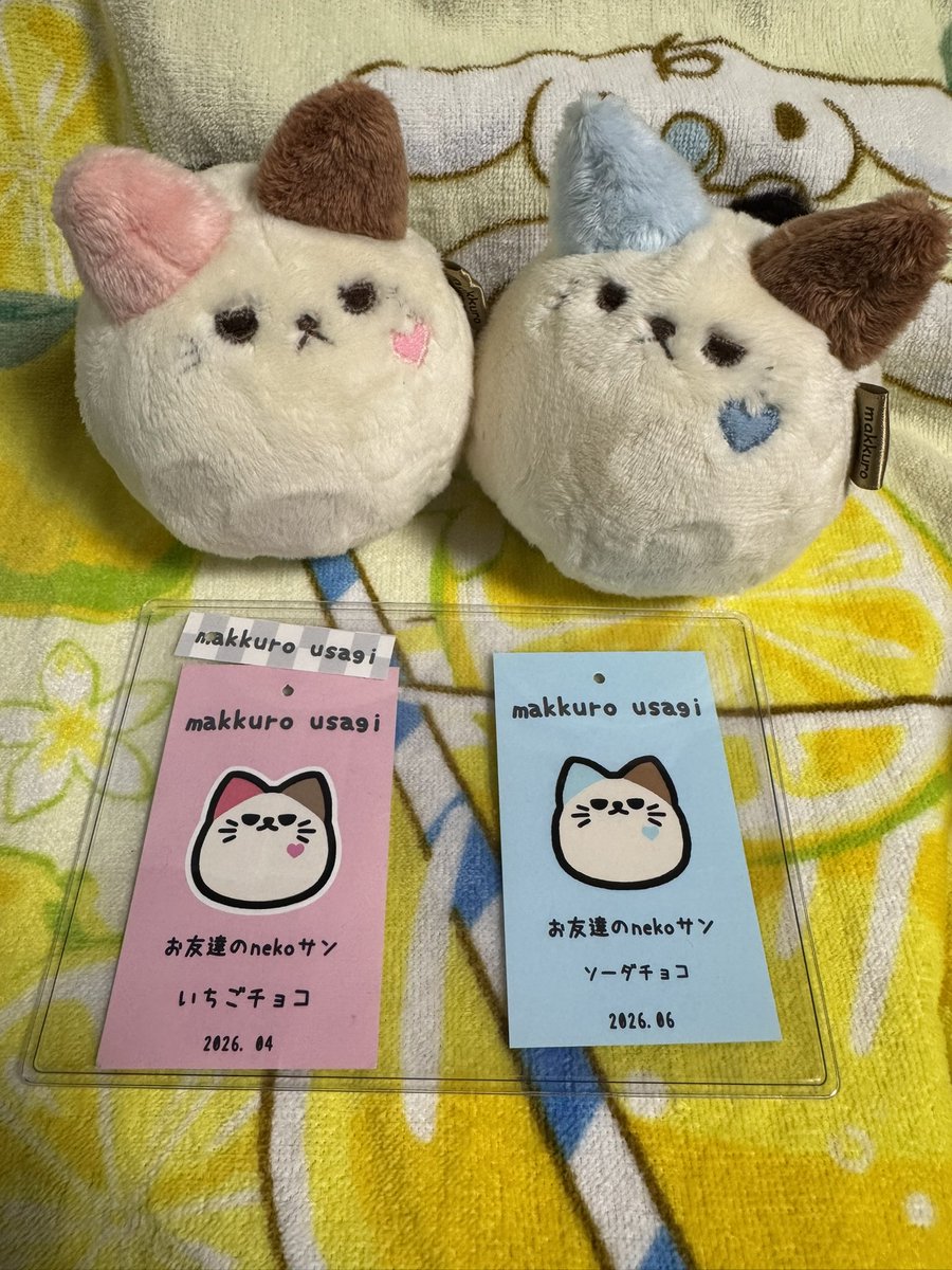 sheep_home's tweet photo. nagiさん(@makkuro_usagi_h)のお友達のnekoさんのソーダチョコちゃんがどうしても欲しくて定時退社→横浜決めてきました！
2匹仲良し(*˘︶˘*).｡.:*♡ https://t.co/udUSXBZyl1