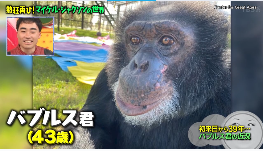 バブルスくん さん専用ページ バブルス君