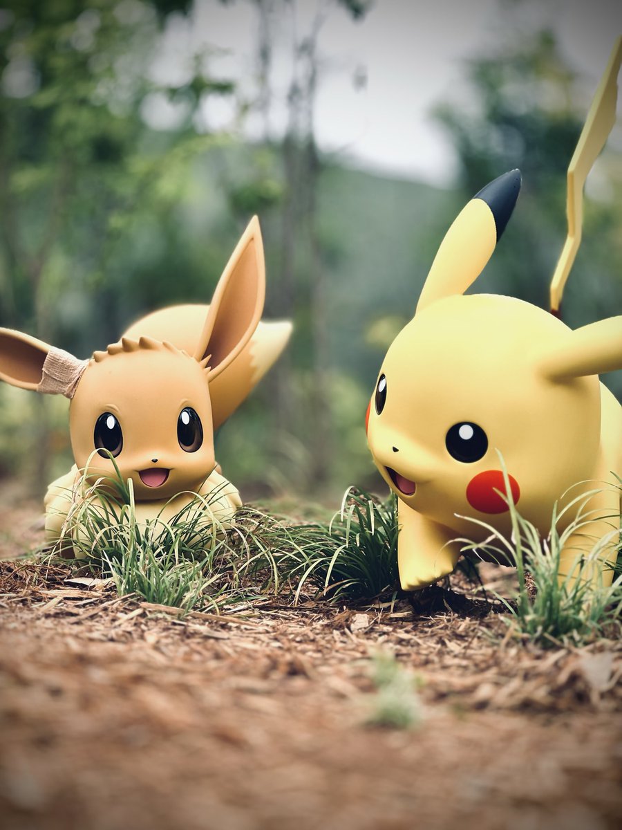 NoelQuaker's tweet photo. ポケパーク面白かった！ https://t.co/1cOHglCPAK