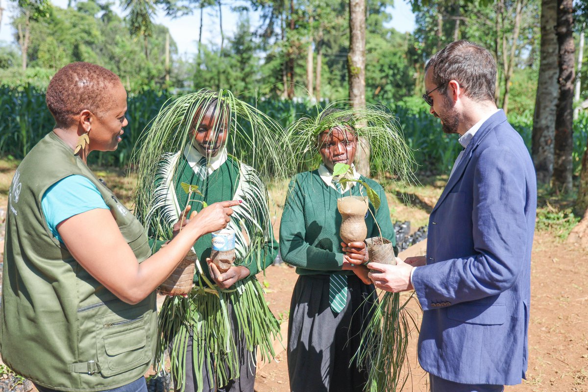 WangariMaathai's tweet photo. 🌱 Partnership, youth, and community in action!
At St. Theresa Isecheno Primary School, students, KFS, local communities, and partners from the French Embassy, ICIPE, IRD, and CIRAD came together through the #KakamegaForestLink initiative.  🌳🇰🇪🇫🇷
#WangariMaathaiFoundation https://t.co/WsBL755hgu