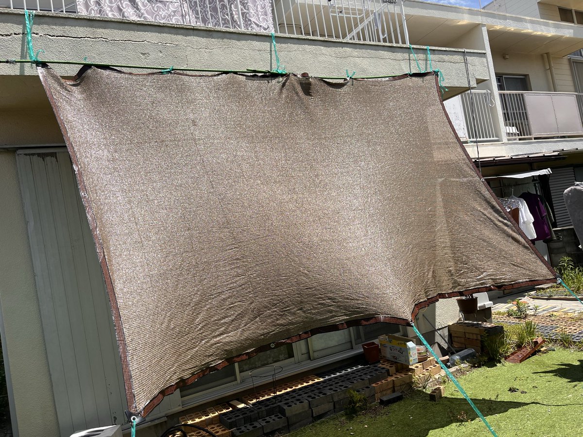 chieko_k17's tweet photo. 今日は朝から
日よけ付けて汗だく💦💦💦
去年はもう少し後だったような気がする😅
皆さんも水分補給とUVしっかりしてね🫡
昨日はCineさんから懐かしいANDZ来たね💕︎
カッコよすぎるわ💗🙈💗
 #ROWOON  #ロウン #로운 https://t.co/ahTWolwOg8