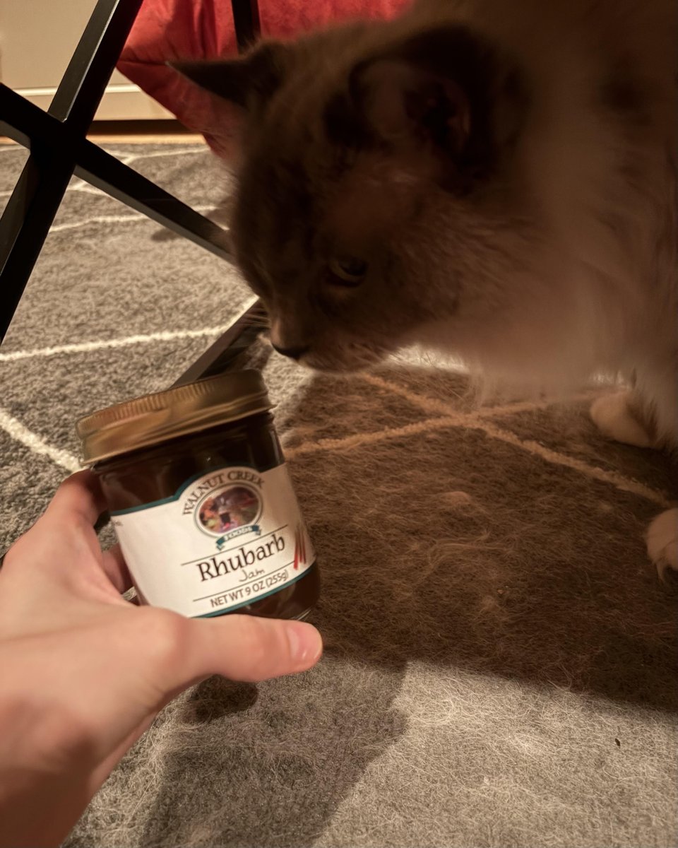 mistraltaa's tweet photo. @Rhubarb_ace i think he likes you!! https://t.co/COPitjyir1