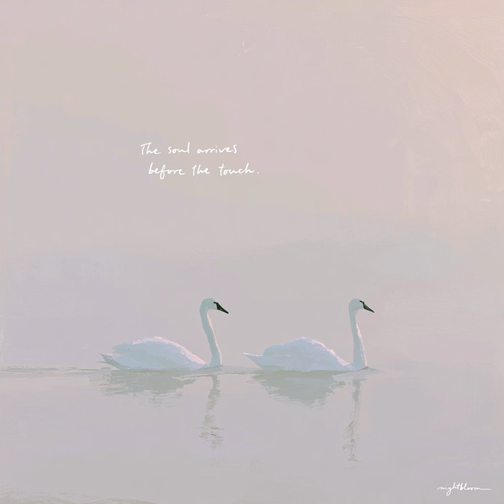 Nightbloomc's tweet photo. The soul arrives before the touch. https://t.co/H7FCVFxDGU