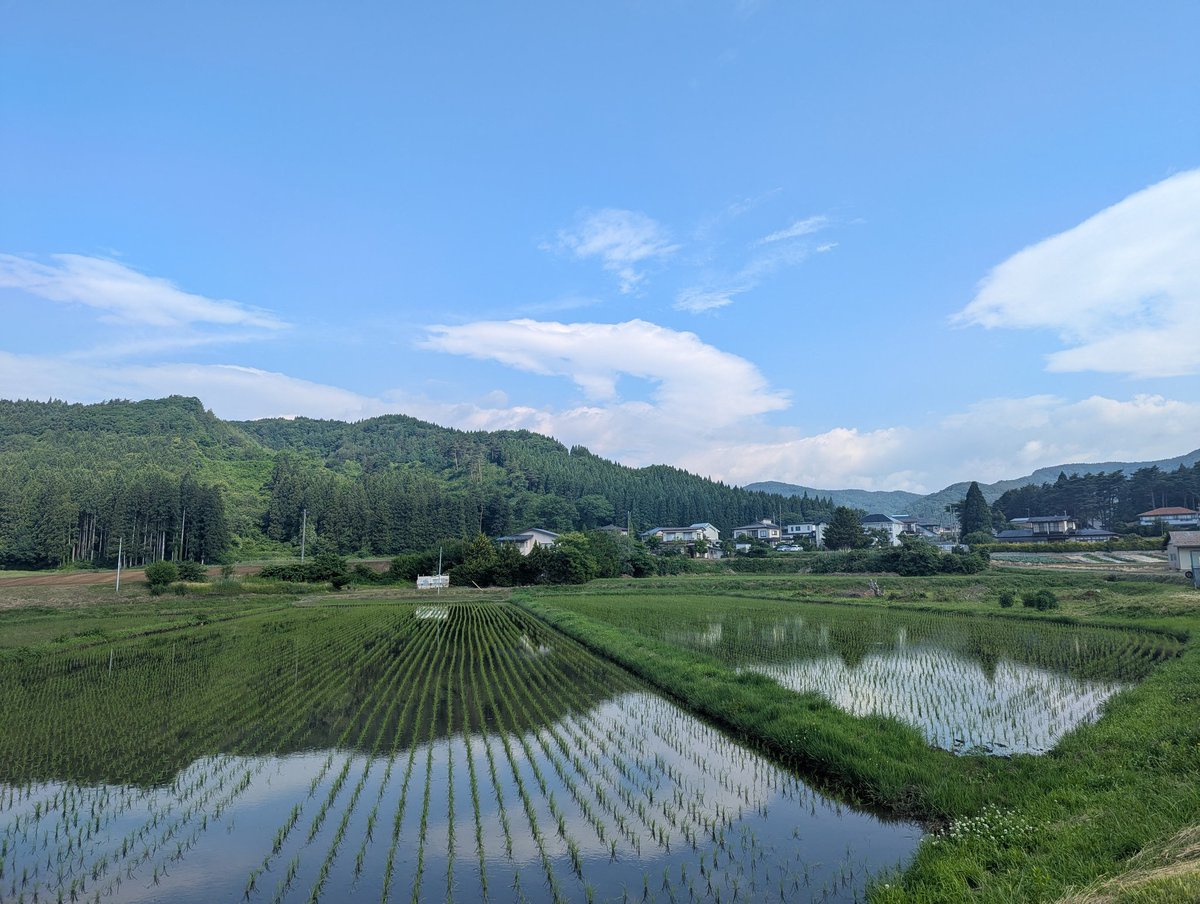 oppeken's tweet photo. なんか思った以上にチャグチャグ馬コロスがハンパない🥲盛岡市もですが、滝沢市の風景が忘れられないな。岩手山、水田、馬、人…。鈴の音と一緒に再生されるわ…音風景とはよく言ったものだなあ https://t.co/JXarTzRKVS