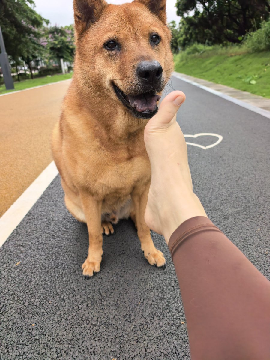 王蓉RoRo🇨🇳🇨🇳🇨🇳 tweet media