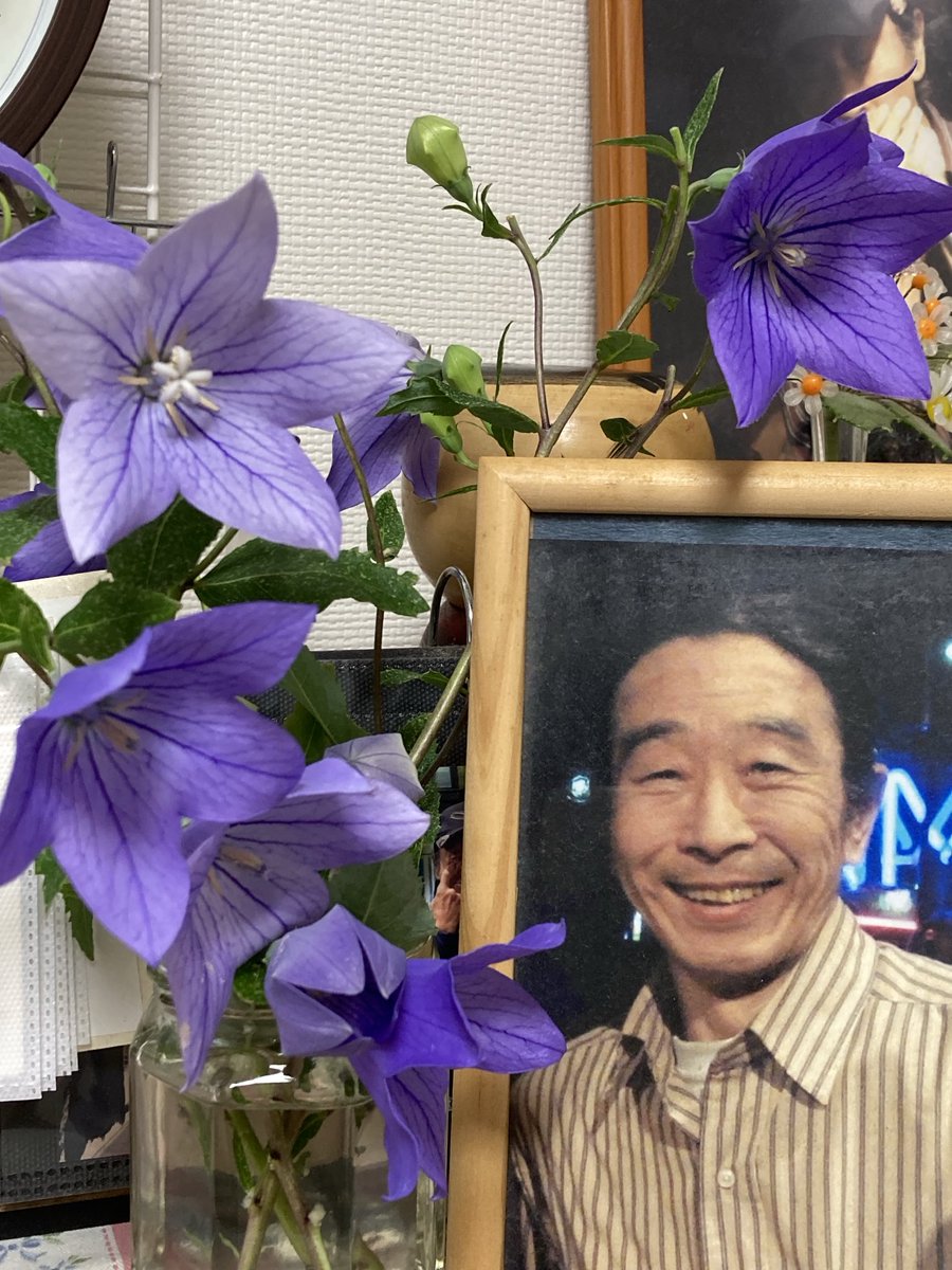 RandK_Senoh's tweet photo. 今日は妹尾隆一郎の誕生日
誕生日を祝うかの様に
桔梗の花が沢山咲きました。 https://t.co/Q4WDv6yP03