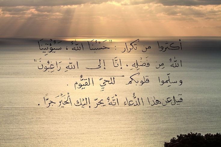 4krallah00's tweet photo. https://t.co/lb43B3PIhN