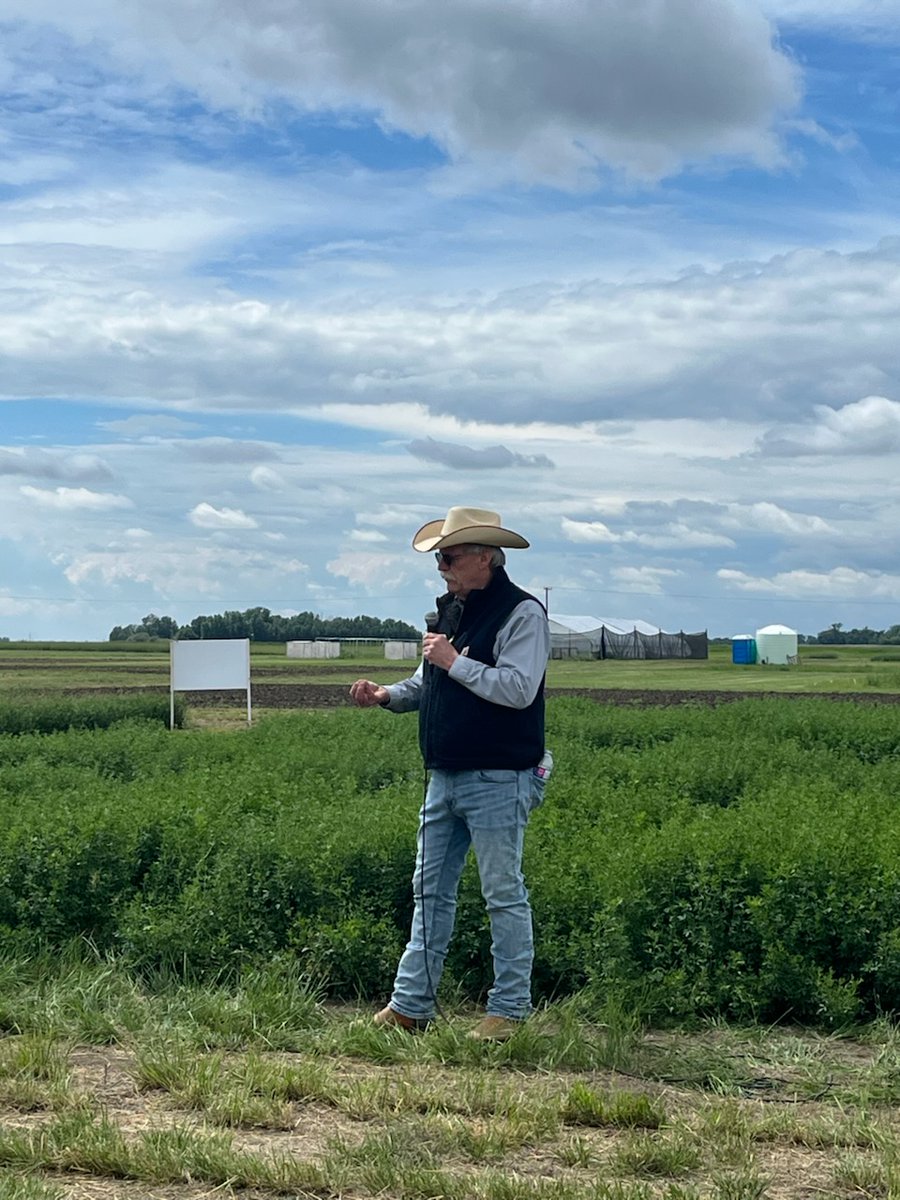 DrBart_Beef's tweet photo. Talking all things forage! MSc graduate student Rachel Lundsten presenting her polycrop grazing research #LardnerLab #AppliedForageBeefResearch #ForageFieldTour @SKAgriculture @agbiousask @BeefResearch https://t.co/PrSYP4QLv0