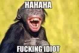 RandyJenett's tweet photo. @TrumpsHurricane And you are a DUMB ASS BITCH geta https://t.co/gOinNYzScN