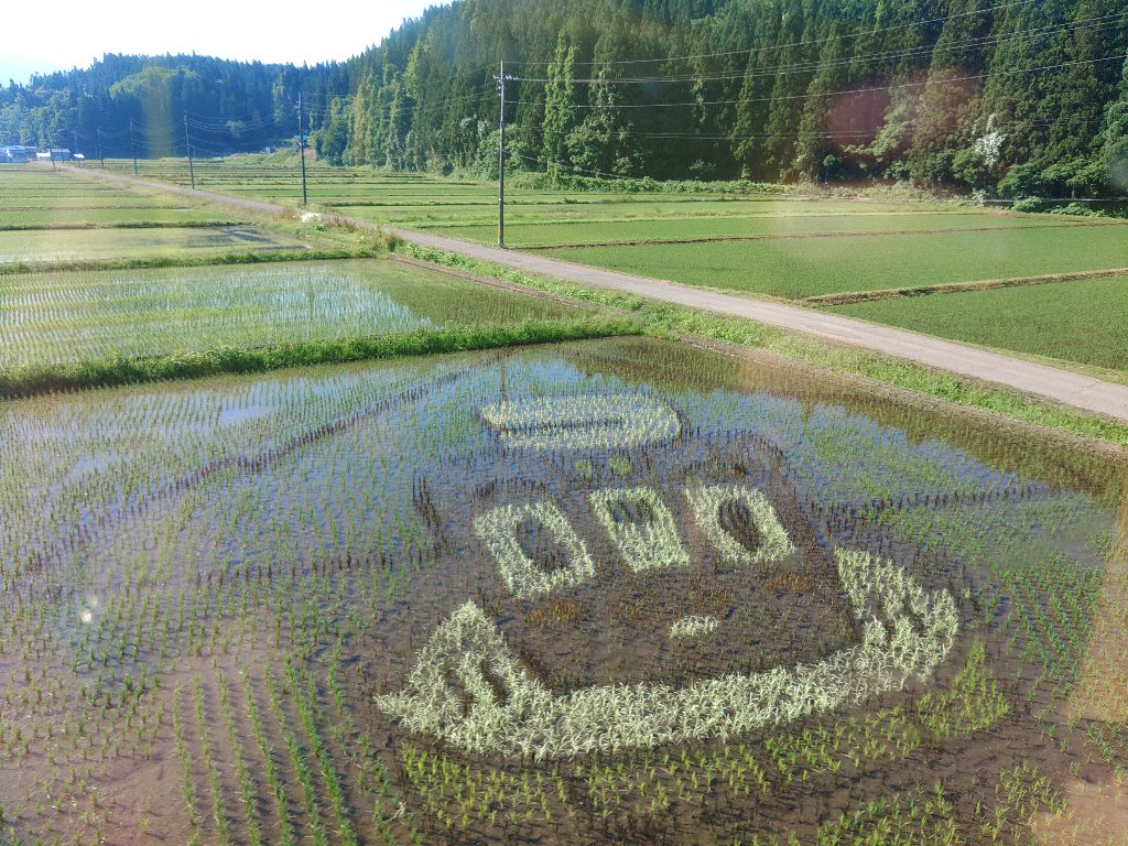 anjt_official's tweet photo. 秋田内陸線 今朝の107D 阿仁前田温泉付近

こちらの田んぼアートもかなり苗が育ち、絵柄が分かるようなってきました。
デザインは、温泉でくつろぐないりっくんです。 https://t.co/L61KnEAIjJ