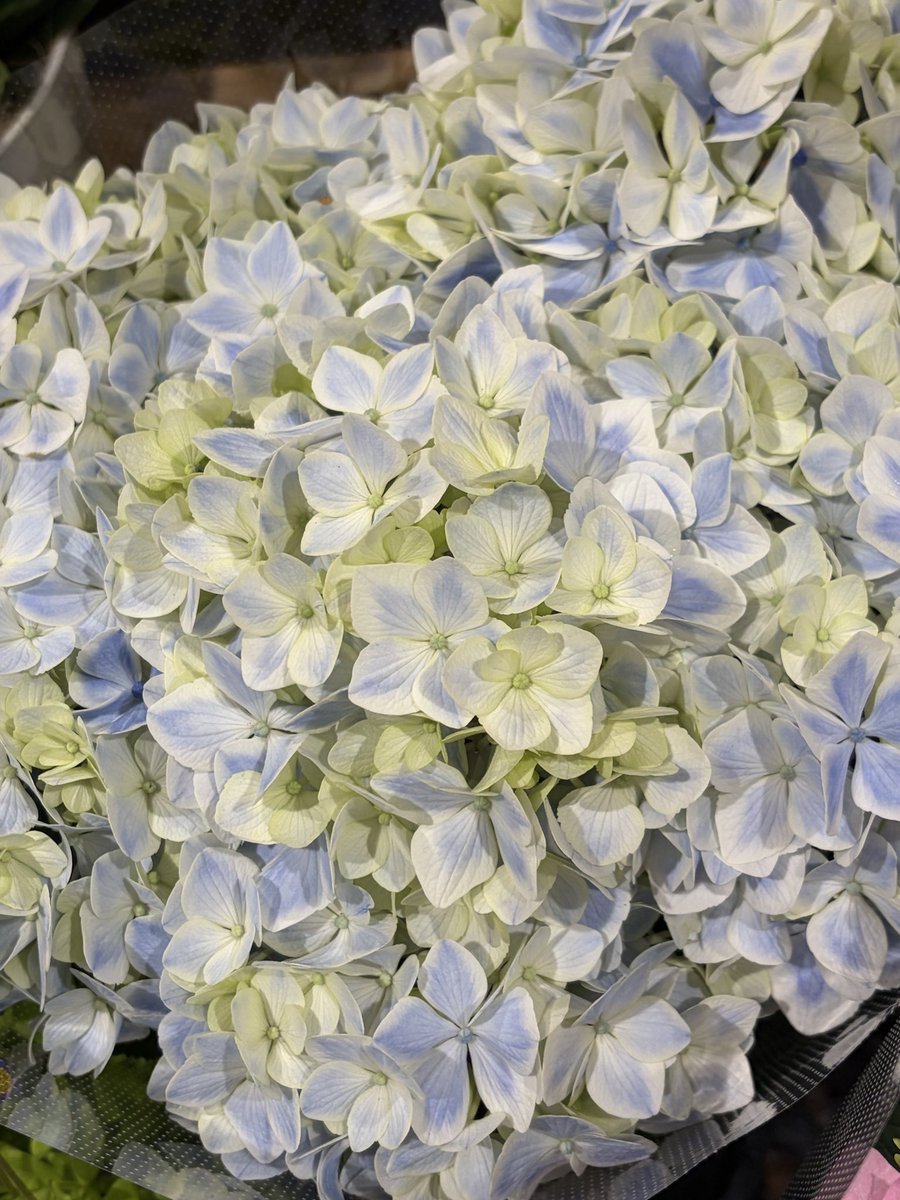 nao_shapes's tweet photo. (๑˃̵ᴗ˂̵)good morning🌞
June 17 水曜日 🥺ﾃﾞｼ
#おまわりさんの日 👮
1874年誕生のｮｩです‼️

皆様〜素敵な1日oh♫♡🐈‍⬛🐾
地震🫨にお気をつけてくださぃ。。
#onecontrol 🎸distortion😊👍
#長濱ねる さん☺️🫶🏻✨ https://t.co/cFNksHbUjt