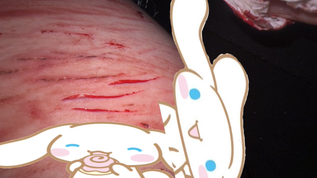 desiringable's tweet photo. recent sesh ? idk all baby styro bc im a pussy https://t.co/7enfhFWjqZ