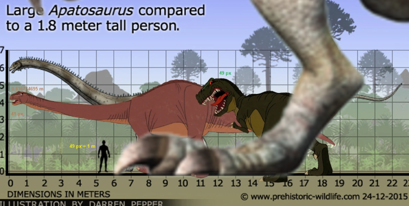 TheUnfunnyAnzu's tweet photo. I mean if you consult the size difference... https://t.co/HEWZ408xia