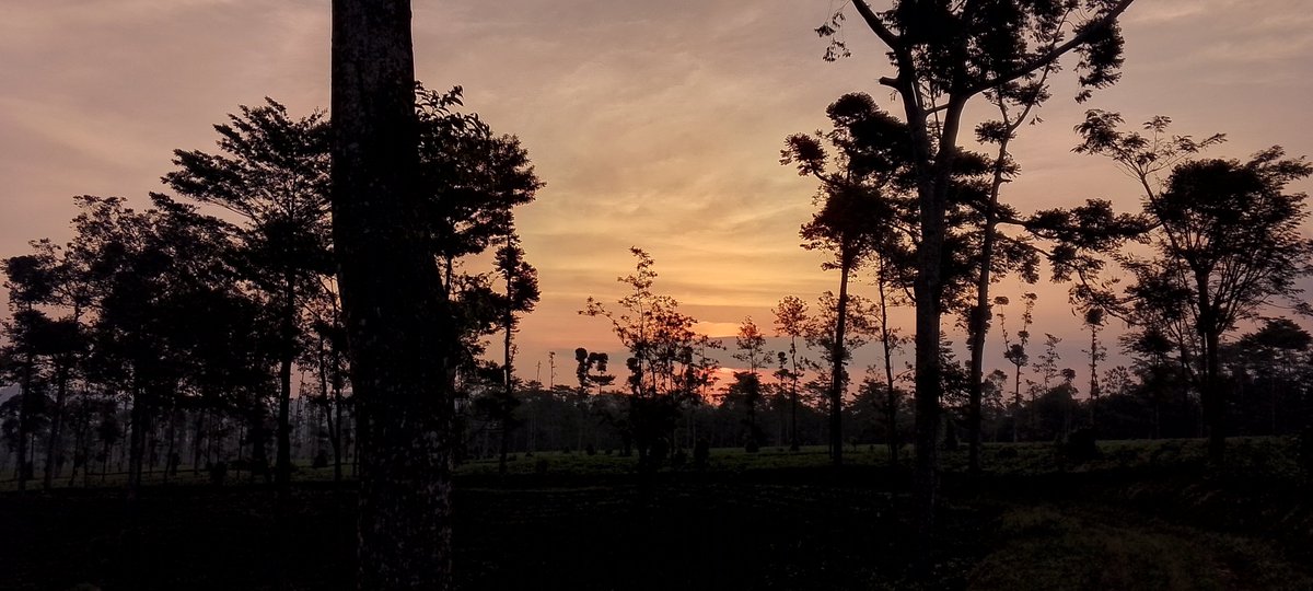 Syant15's tweet photo. Pulangnya nyari sunset💃 https://t.co/pgtSFf1Zw3
