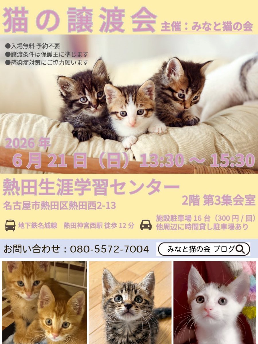 minatonekonokai's tweet photo. #拡散RP希望 
【運命の家族を探しています】
小さな命を温かく迎えませんか？

家族を待つ猫たちのための譲渡会を開催します

あなたのリポストが、保護猫たちの未来を変える一歩になります
ご協力をお願いします🍀

•6/21(日) 13:30~15:30
•名古屋市熱田生涯学習センター

#猫好きさんと繋がりたい https://t.co/Vk6fgopELR