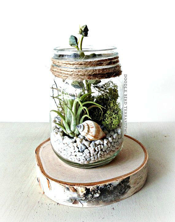 FrankWesthoff's tweet photo. [Got a leftover mason jar Turn it into a mini succulent planter in 5 mins—no fancy tools needed! Perfect for sprucing up your desk.  #DIYCraft]， https://t.co/1XMNGERpy2