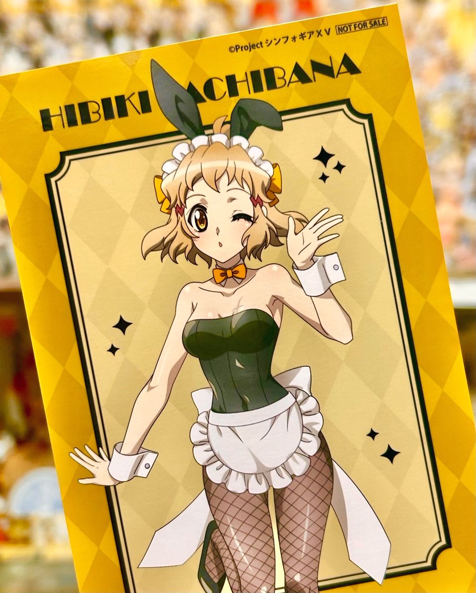 💛💛︎💍💕︎🐰😘🫶🏻🥰✌️💍💛💛