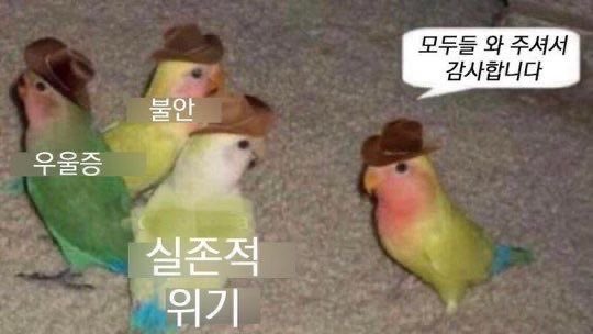 니악이 tweet media