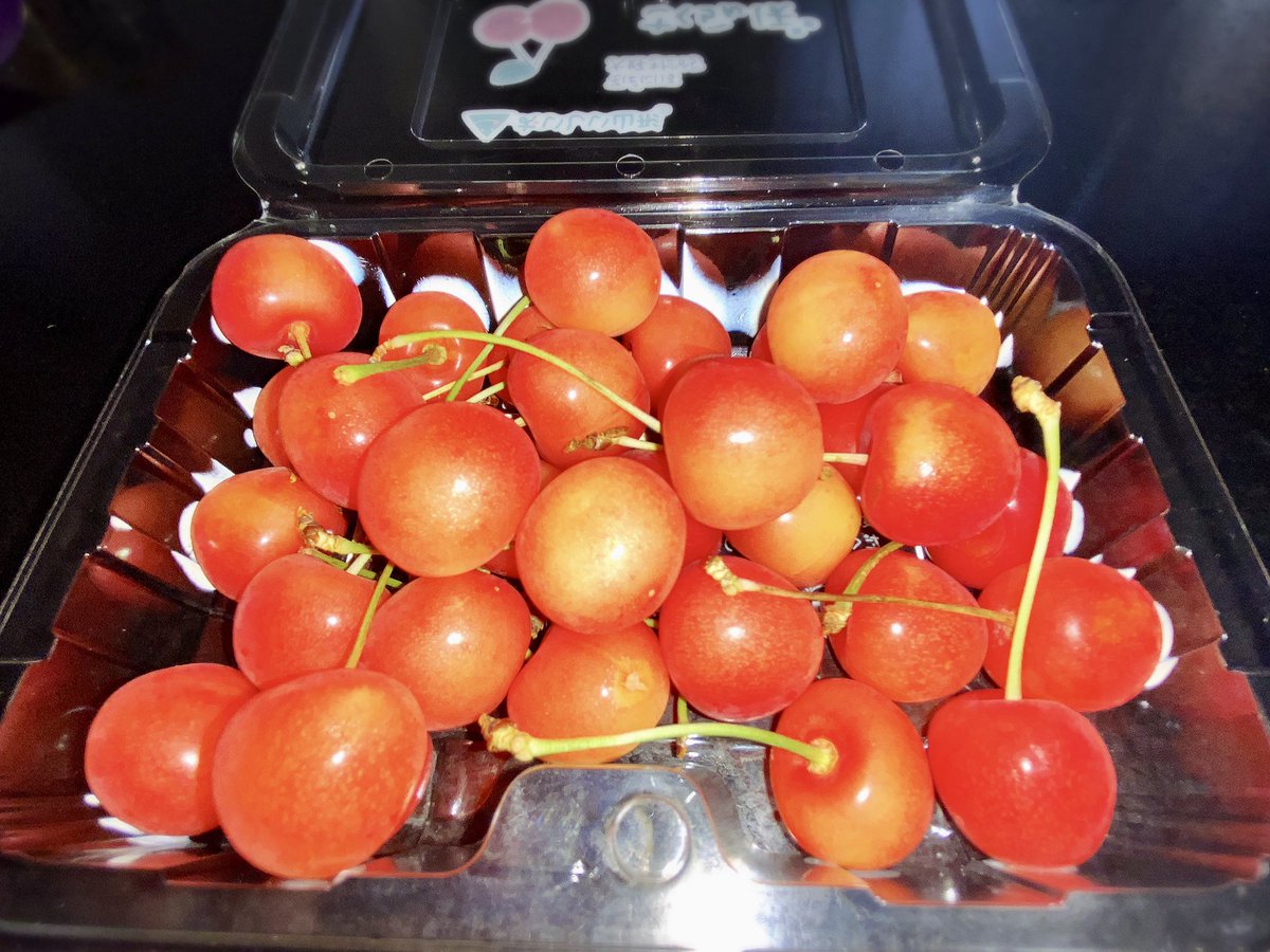 crystal__cherry's tweet photo. 今年も無事、山形産さくらんぼを食しました🍒1年に1度は食べたいものです。 https://t.co/WlNVchiLkY