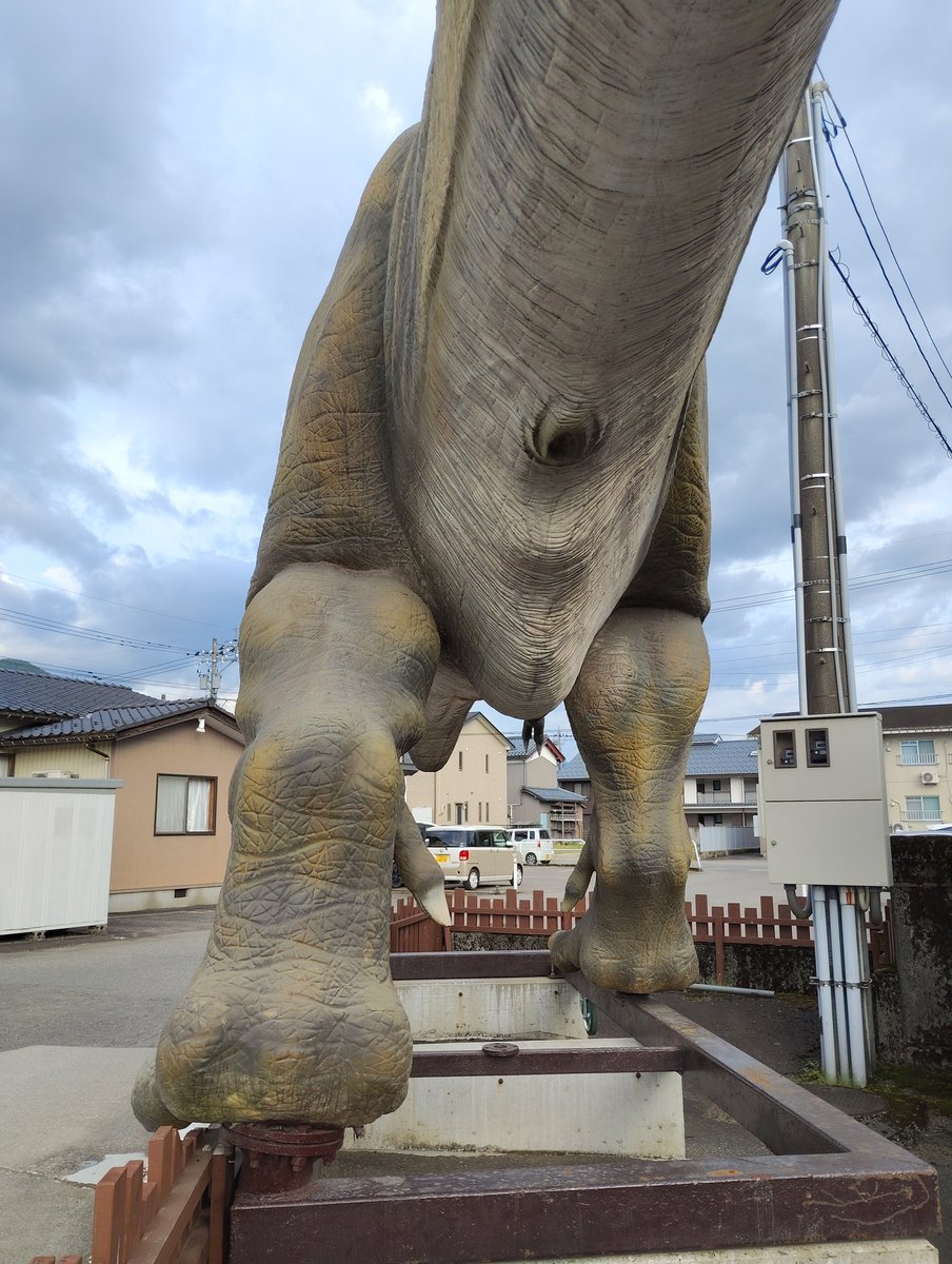 abelisauruscute's tweet photo. ｵﾁﾘ(活力 https://t.co/SHI8LDJgrW