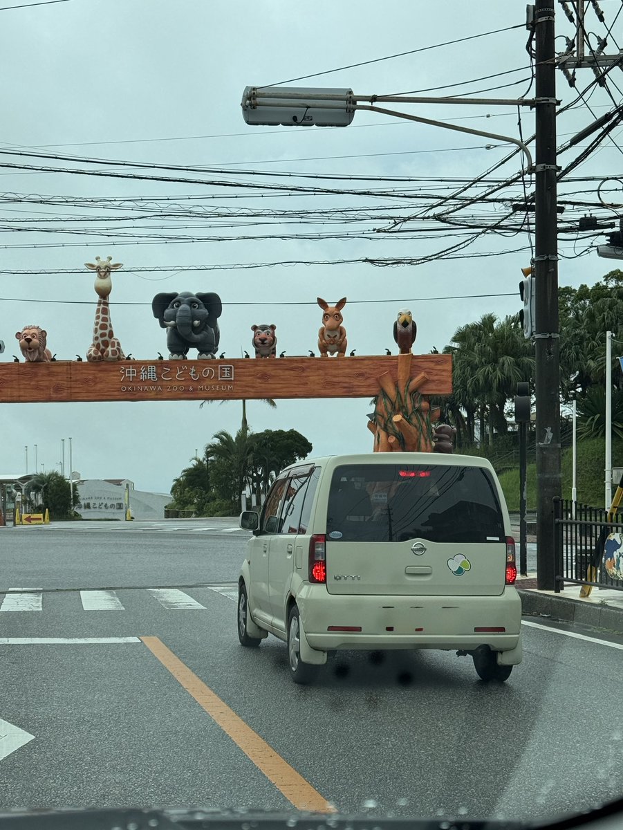 サン・ニー・サン tweet media