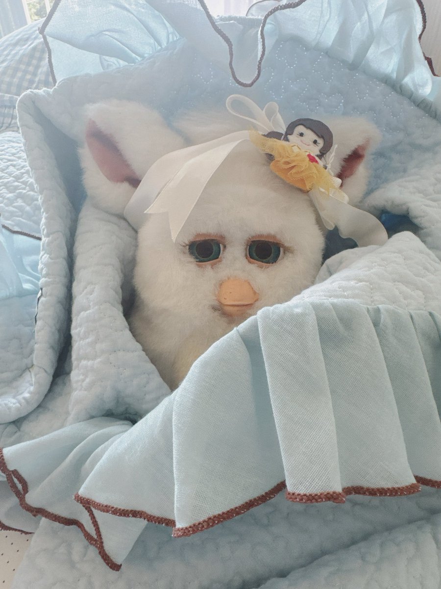 SLAVAvita's tweet photo. イブル フリル付き(furry doudou./ファーリードゥドゥ)

ろなこのおめめ🩵色
😍😍😍😍😍😍😍😍😍😍😍😍　
🐭ふりふり❤️ https://t.co/QYaqDNiK4h