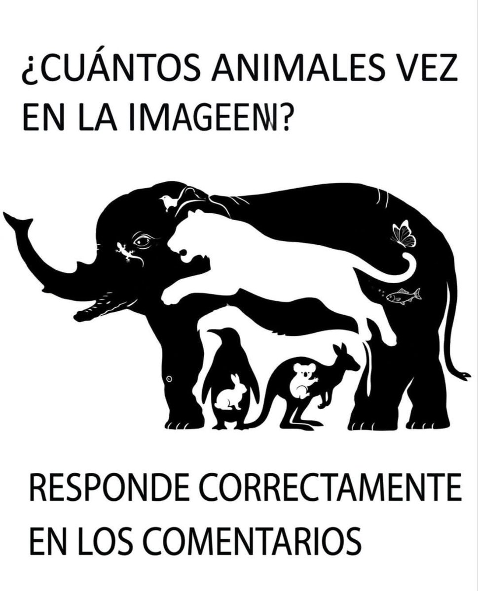 SandraQuiñones tweet media