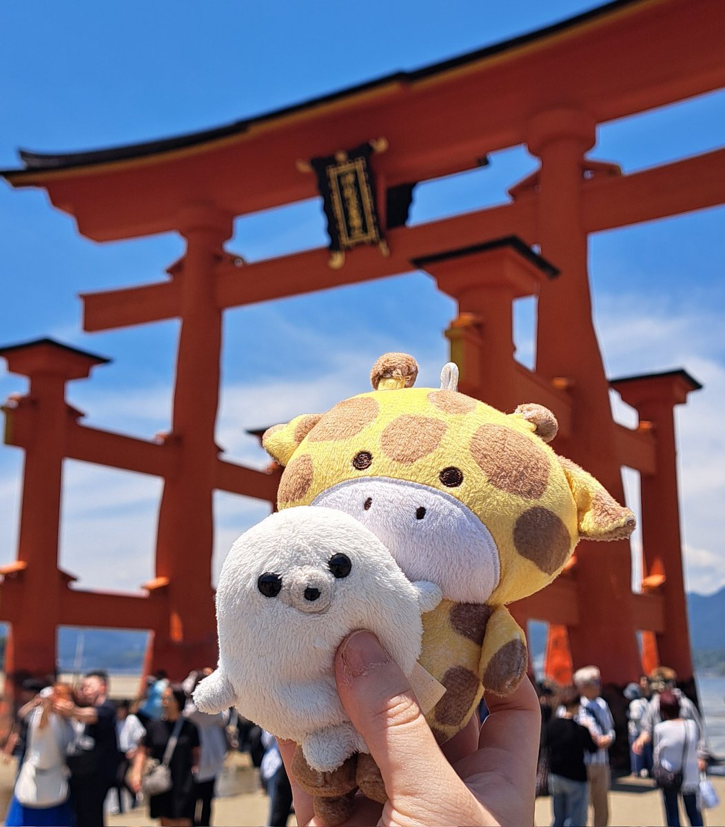 neco_world_com's tweet photo. 厳島神社！
おみくじ大吉だったよ🌷 https://t.co/rBHbOT7L7V
