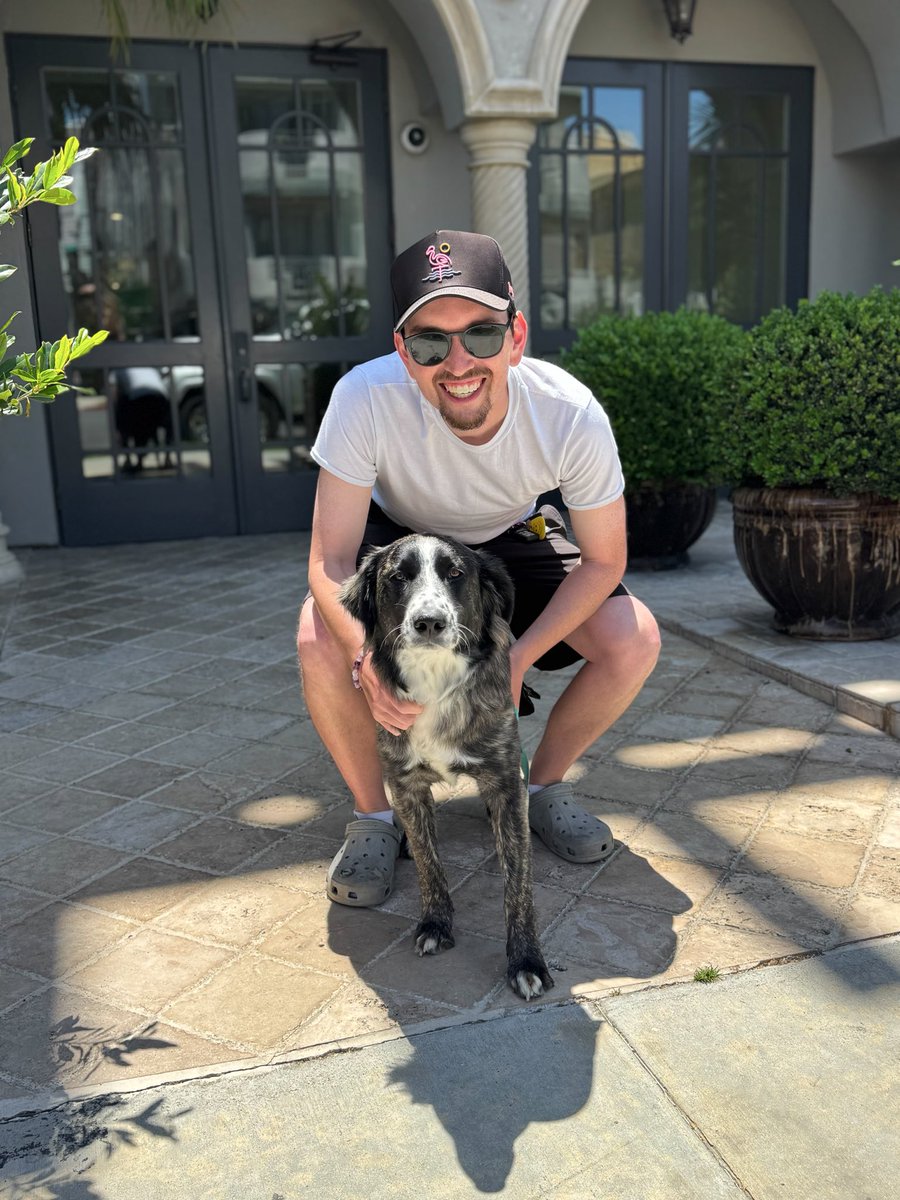 iswmp's tweet photo. PAISLEY GOT ADOPTED! π¨πΆπ
From rescue to forever home, this girl is LIVING THE DREAM.
Shoutout to her foster Grace + everyone who helped save her. Support our rescue so more dogs get this ending. π
#AdoptDontShop #RescueDog #IStandWithMyPack #iswmp #dogs #rescuedogs #happytails