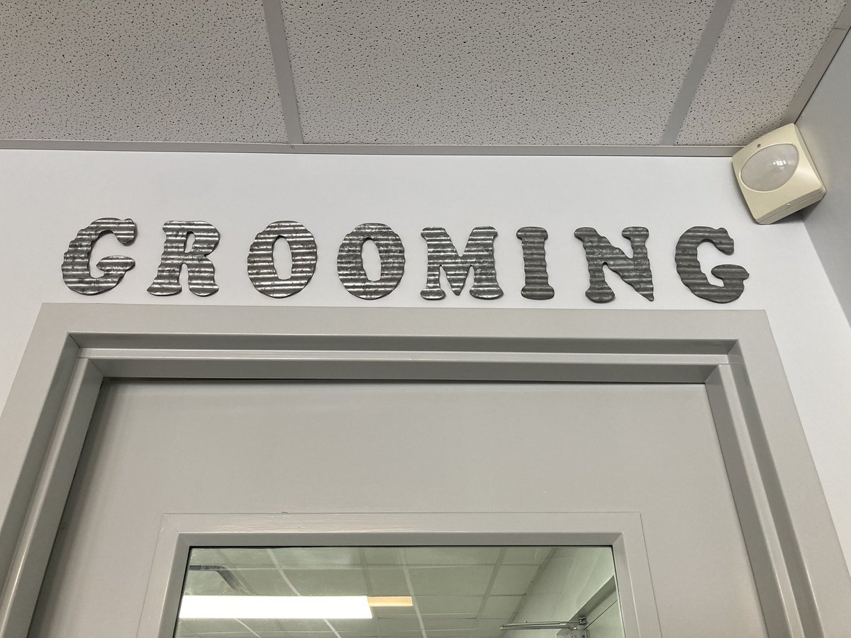 BrittAdams92's tweet photo. Anna went to work with her mom today! #Doggrooming #Grooming #work https://t.co/2jxWUyrRAT