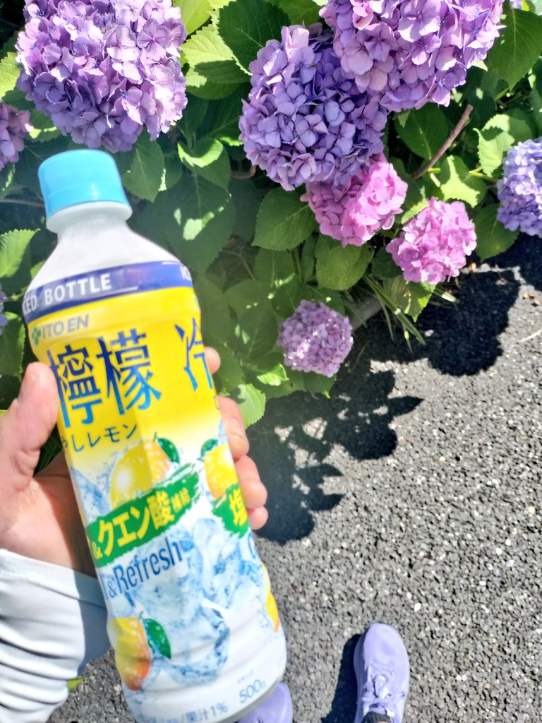 coremocha's tweet photo. 🏃5km ☀️ 23℃ 🎧️ Yseult

わかっていても凍った飲み物を買ってしまう
…飲めない🐧 https://t.co/fEfjevoNdz