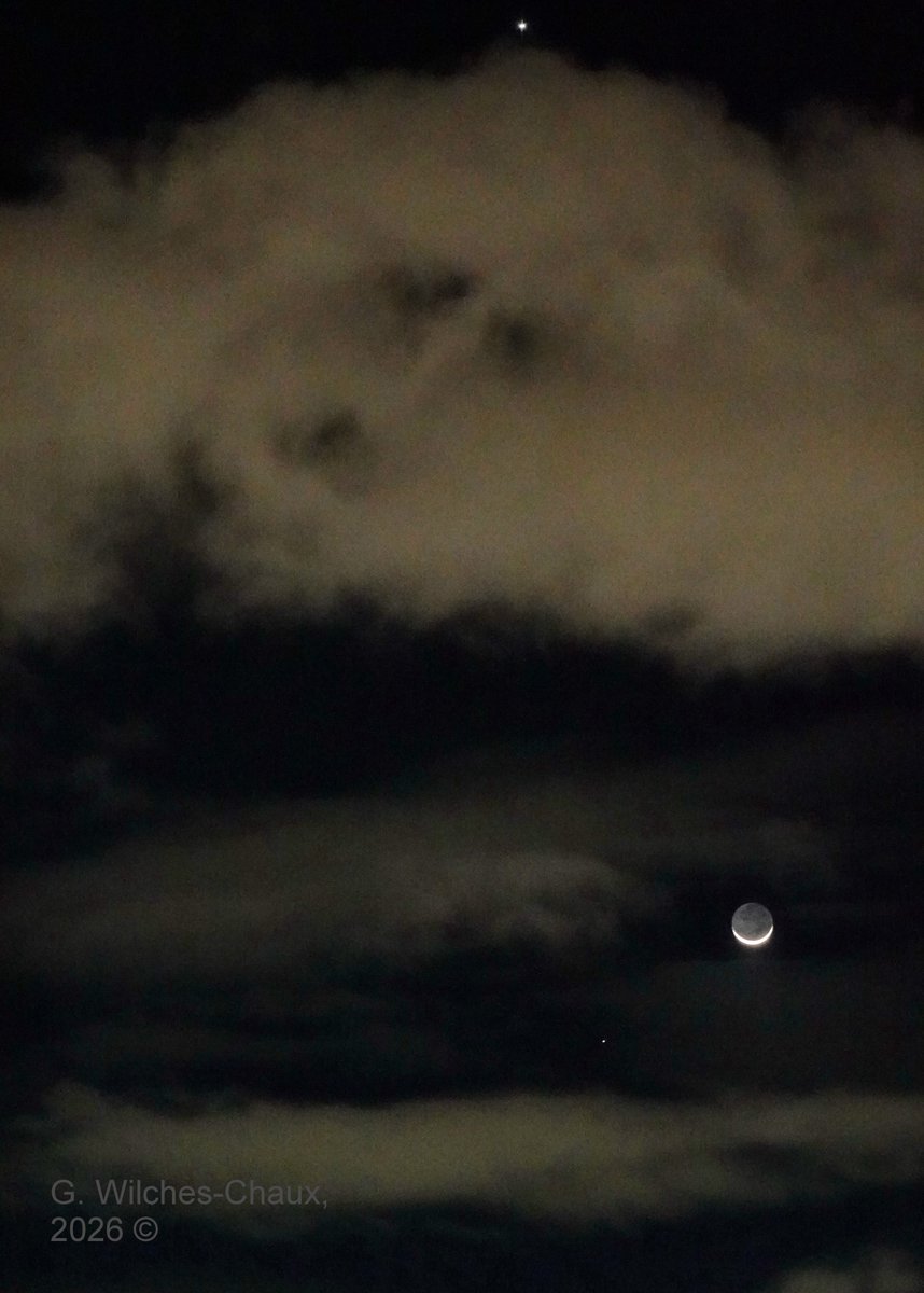 wilcheschaux's tweet photo. Casi me congelo tomando estas fotos... pero las tomé:
De arriba hacia abajo: Venus - Júpiter - Luna - Mercurio. Y en la foto de abajo: Venus y Júpiter y la Luna entre las ramas... y al lado el farol Halley (el que se disfraza de cometa) https://t.co/jeCgSjEGMy