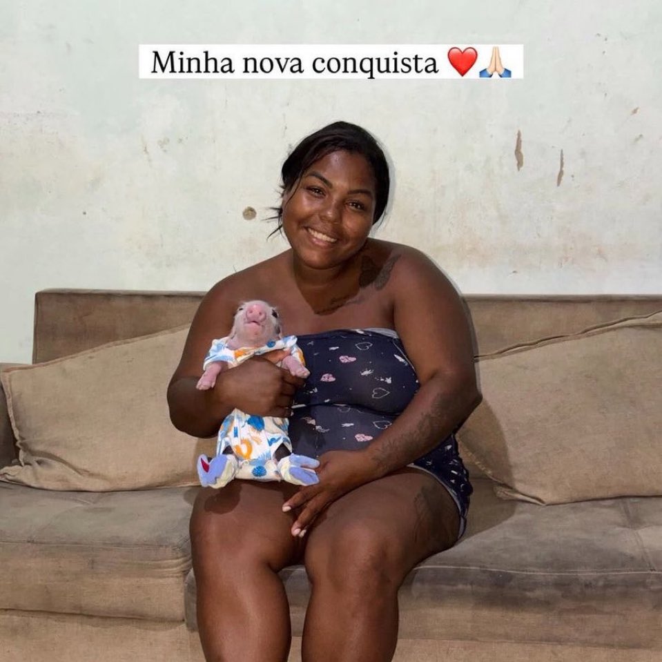 jefsnt's tweet photo. comprei um apetrecho sexual https://t.co/qZcO48CGYp