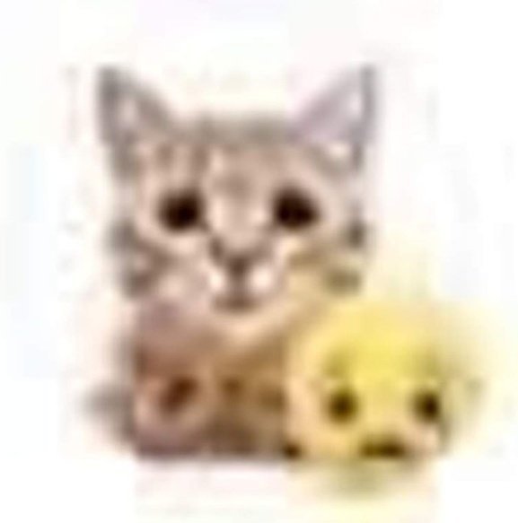 𝙻𝚎𝚡✞︎⌫ tweet media