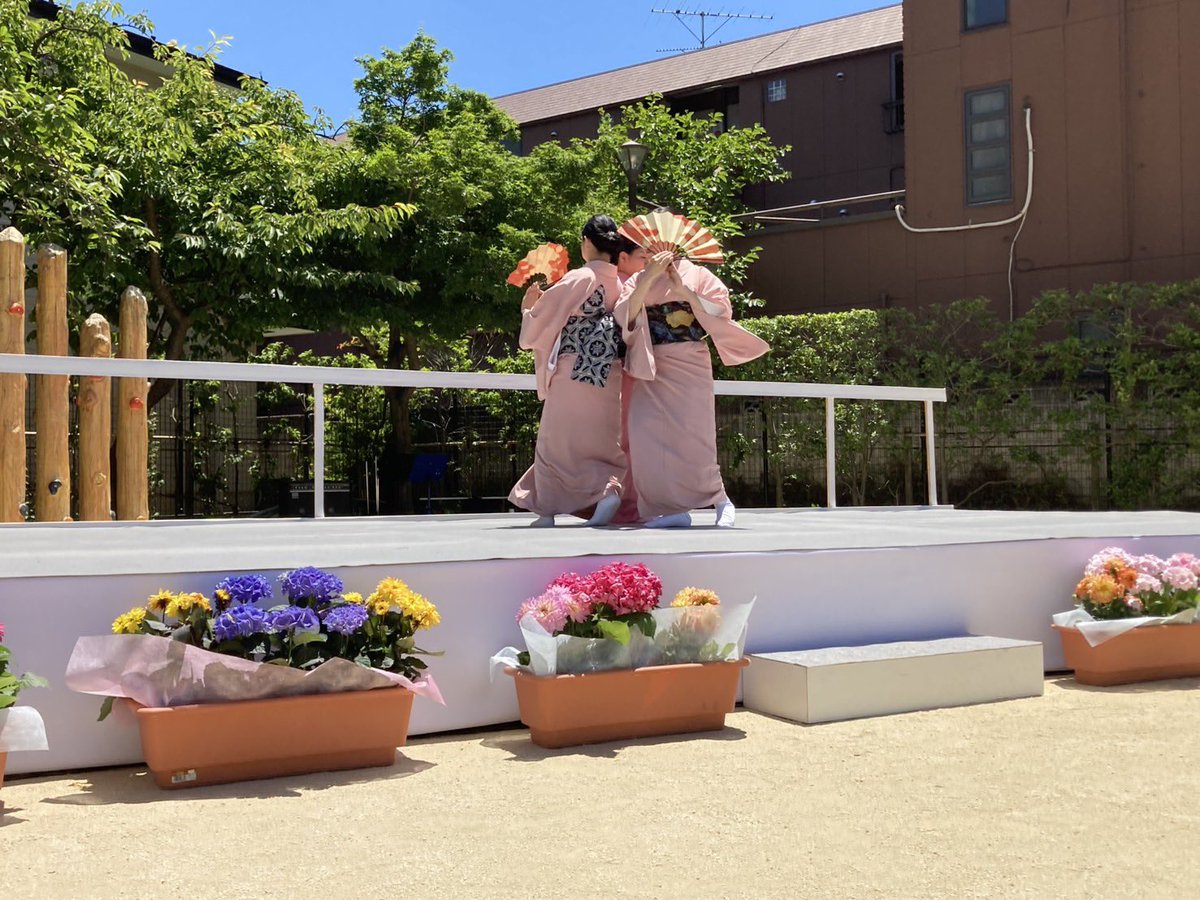 ma_ri_ito's tweet photo. 🌸🌸🌸 https://t.co/2pbnOHs4GG