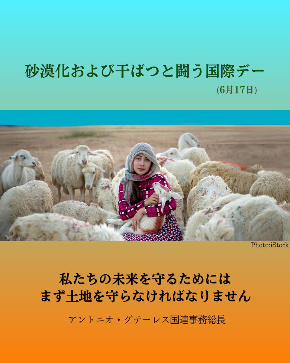 UNIC_Tokyo's tweet photo. 【#砂漠化および干ばつと闘う国際デー（6月17日）
に寄せる @antonioguterres 国連事務総長メッセージ】

放牧地はあらゆる気候帯、
あらゆる大陸に見られる広大な空間です。

地球の陸域の半分を占める放牧地は、
重要な食料や繊維を供給し、
20億を超える人々の暮らしを支えています。

また、野生生物の生息地や炭素吸収源としても、
欠かせない役割を果たしています。

ところが、世界の放牧地の50%近くが、
すでに劣化しているか、
劣化のリスクにさらされています。

こうした状況は、
世界全体の食料システムを脅かし、
地域の暮らしに悪影響を及ぼし、
生物多様性を低下させ、
温室効果ガスの排出量を増加させています。

今年の砂漠化および干ばつと闘う国際デー
にあたり、私たちは世界の放牧地への
認識と尊重を求める緊急要請を呼びかけます。

それはすなわち、放牧地の回復、
特に水資源の確保に投資すること、

持続可能な雇用を通じ、
農村社会のエンパワーメントを図ること、

そして国際協力を通じ、国境を越えた
解決策を作り上げることに他なりません。

今年は「#放牧地と牧畜家の国際年」
にもあたります。

それはまた、これら生態系の保護に役立つ
可能性がある伝統的な知識を備えた
牧畜家や先住民族を支援するための
チャンスでもあります。

私たちの未来を守るためには、
まず土地を守らなければなりません。

あらゆる場所の放牧地が
今後何世代にもわたって繁栄し続けるよう、
ともに取り組もうではありませんか。

#UNited4Land