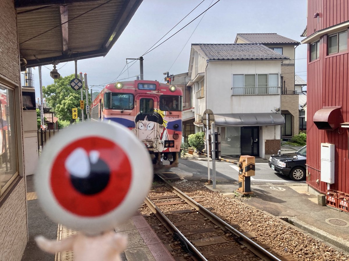 今日は ちちねこ🚃🚃 #鬼太郎列車